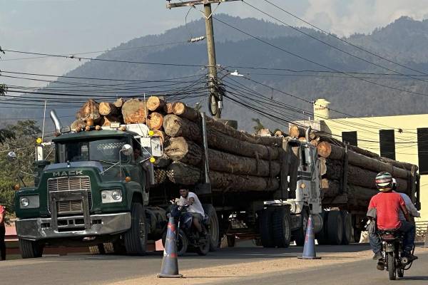 <i>Camiones de carga con madera en Olancho. Los incendios forestales, la tala ilegal y las plagas afectan cada año entre 60.000 y 70.000 hectáreas de los bosques de Honduras, causando un fuerte impacto en la industria maderera. EFE/ Germán Reyes</i>