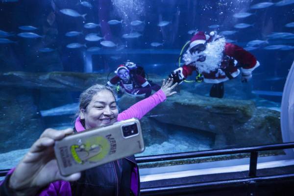 <i>Una mujer se toma una fotografía junto a una pareja vestida de Papá y Mamá Noel buceando este jueves, en el acuario AquaRio en Río de Janeiro (Brasil). EFE/ Antonio Lacerda</i>
