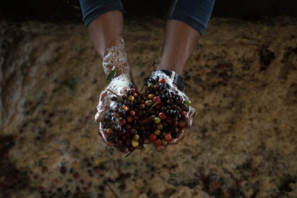 Sequías y contaminación generan hambre en la cuenca de río Lempa