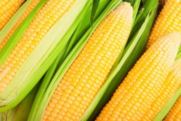 Guatemala amplía oferta de productos para feria comercial