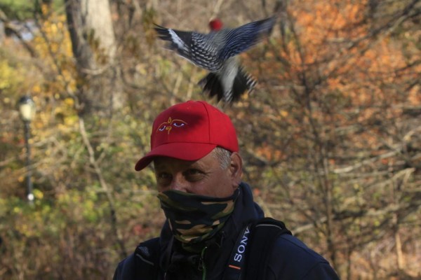 Nuevo hobby anti-covid en Nueva York: Avistar aves en Central Park