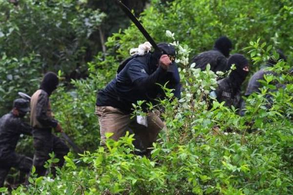 Honduras enciende alarmas al pasar de puente a productor de cocaína