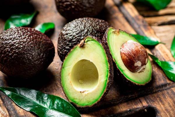 Guatemala aspira a estar entre los mayores exportadores de aguacate