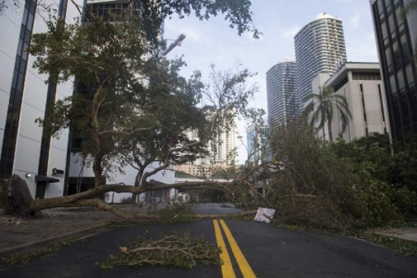 'Irma' se degrada a tormenta tropical mientras cruza Florida