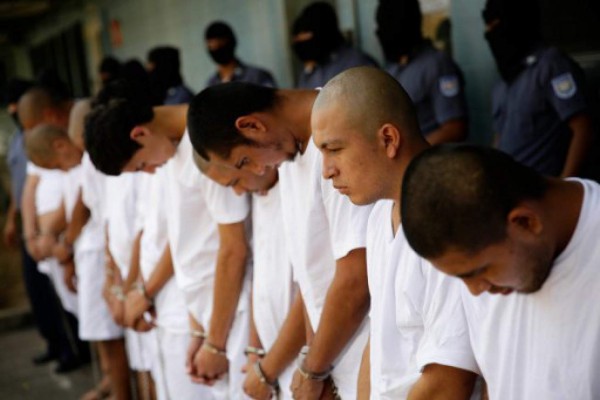El Salvador: División en pandilla MS13 permite surgimiento de MS503