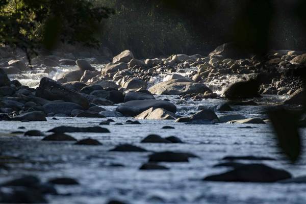 <i>Fotografía donde se muestra el cause del río Orosi, en la reserva natural de Tapanti, en la provincia de Cartago (Costa Rica). EFE/ Jeffrey Arguedas</i>