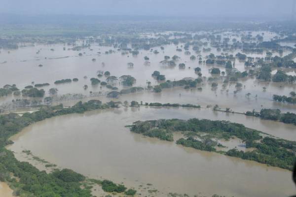 <i>Esta saturación hídrica ha provocado el colapso de cauces principales y mantiene plantaciones con más de 96 horas de inundación. Foto de cortesía</i>
