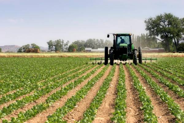 BID Invest y CMI Alimentos se asocian para invertir en la seguridad alimentaria