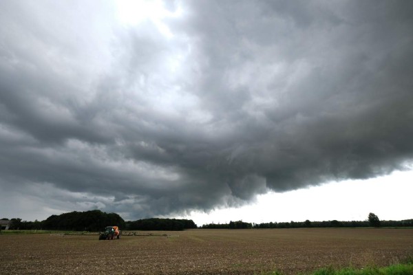 Bayer apuesta por la agricultura digital para lograr sostenibilidad