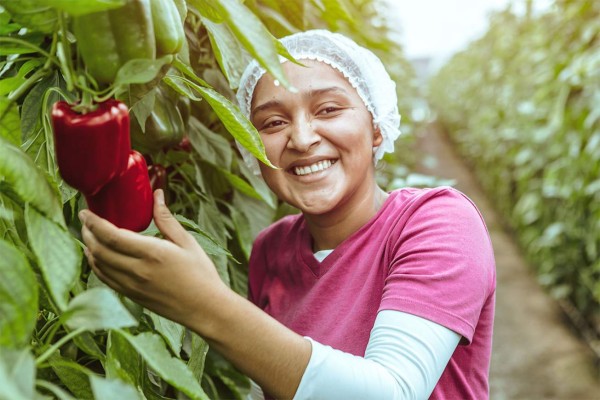 Dinant: Acciones RSE persiguen cumplir 12 ODS desde Honduras