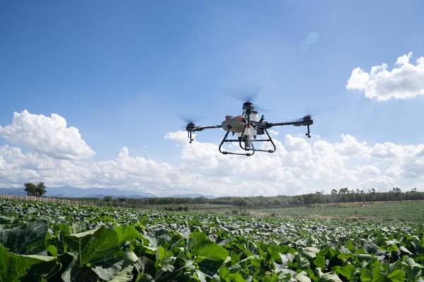 Conozca seis beneficios para que las empresas usen drones