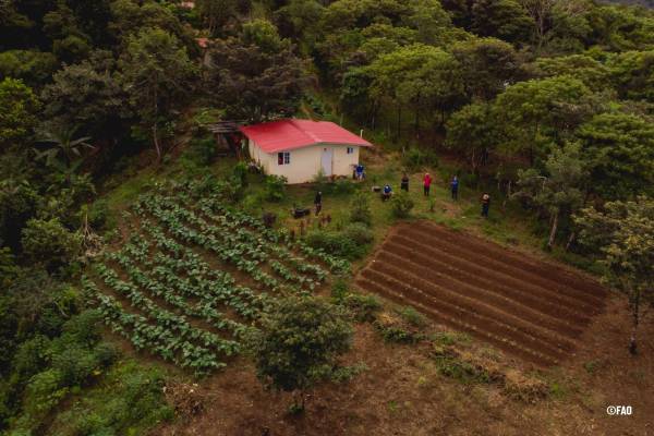 <i>Panamá logró reducir la prevalencia de la subalimentación en los últimos 25 años, al pasar de 23,3 % en el período 2000-2002 a 4,7 % en 2023-2025. Foto de cortesía</i>