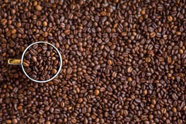 Ingresos por exportación de café hondureño suben 28,6 % en cosecha 2021-2022