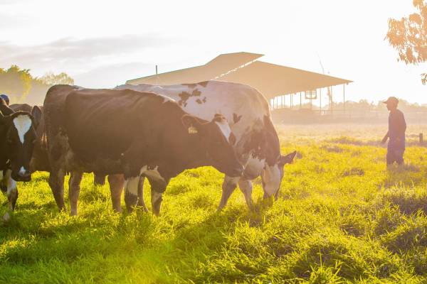 <i>Al abaratarse los bienes importados, aumenta la competencia externa en el mercado local, mientras que los exportadores reciben menos colones por cada dólar que generan. Foto de cortesía</i>