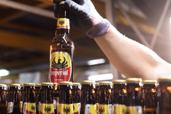 <i>Durante el semestre, Imperial y Pilsen conservaron sus posiciones de liderazgo, mientras Heineken y Sol ganaron impulso en el segmento premium. Foto de cortesía</i>