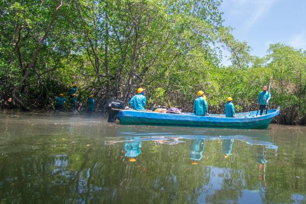 Las labores de restauración en el estero de Jaltepeque incluyen la recuperación de canales y la regeneración del manglar, como parte de la iniciativa Cuenta del Mar de Bancoagrícola, Mastercard y Fundación Doménech.