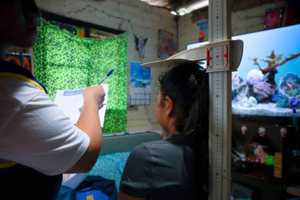 <i>A través de la ejecución de este proyecto, el país dispondrá de información actualizada sobre salud, nutrición, educación, entornos familiares, entre otros temas relevantes para el desarrollo de la niñez y adolescencia. Foto de cortesía</i>