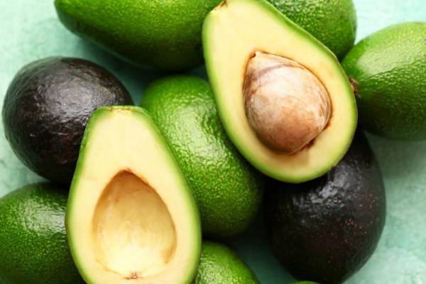 ¿Por qué Costa Rica perdió caso de aguacate Hass en OMC?