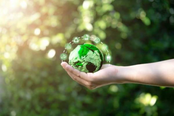 <i>Varios proyectos están vinculados a evitar la deforestación de bosques que estaban en riesgo de desaparecer, así como a la reforestación, agricultura regenerativa y energías renovables. Foto de Dilok Klaisataporn / Getty Images</i>