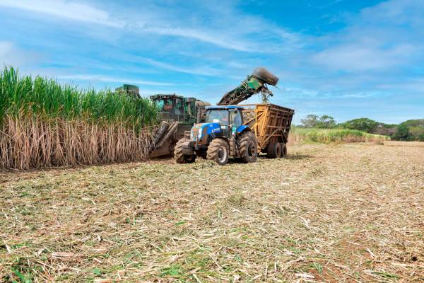 Industria azucarera nicaragüense asegura ser líder en mecanización.