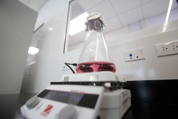<i>Fotografía de un recipiente en el Centro Regional de Innovación en Vacunas y Biofármacos (Crivb AIP) este viernes, en Ciudad de Panamá (Panamá). Panamá inauguró el Crivb AIP, una iniciativa pionera dirigida a la investigación, desarrollo, producción y distribución de vacunas y biofármacos en Centroamérica y el Caribe. EFE/ Carlos Lemos</i>