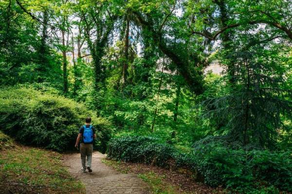 Costa Rica recibió US$16,4 millones por reducción de emisión de carbono