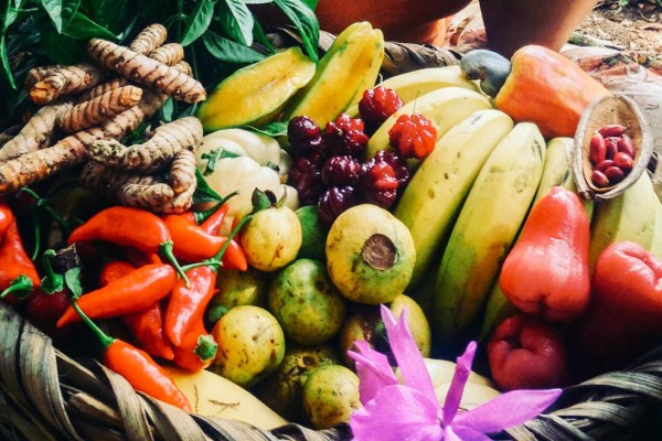 Costa Rica es el primer país de Centroamérica en tener Experiencias Airbnb