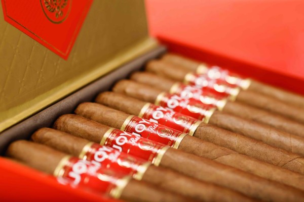 2017: un año humeante para los puros hechos en Nicaragua