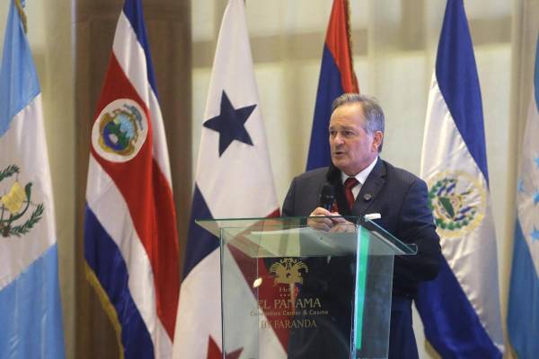 <i>El ministro de Ambiente de Panamá, Juan Carlos Navarro, en una foto de archivo. EFE/ Carlos Lemos</i>