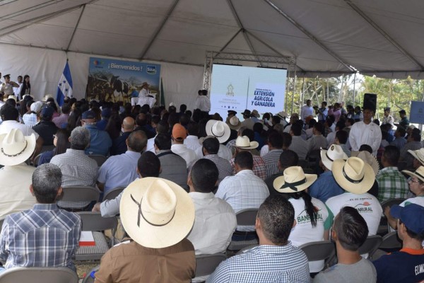 Convenio en Honduras para reactivar sector ganadero