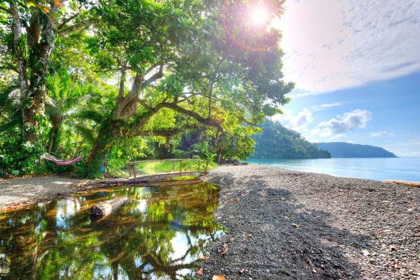 <i>Se busca reconocer a quienes desarrollan proyectos innovadores con impacto en sostenibilidad turística respetando e incluyendo el legado de los pioneros del turismo en Costa Rica. Foto de iStock</i>