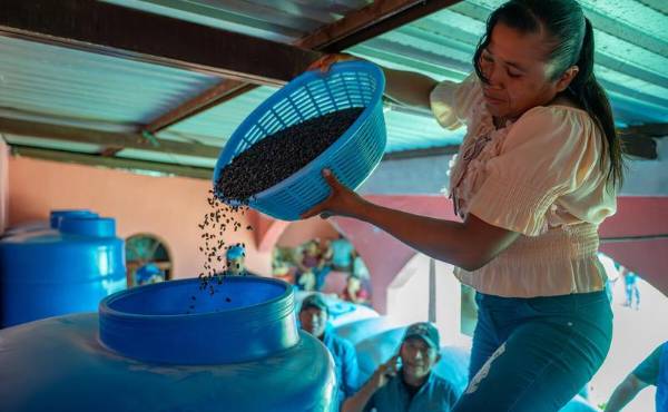 <i>El PMA ayuda a las comunidades en el Corredor Seco de Guatemala a través de la acción anticipatoria del CERF, entregando silos y granos para los bancos de alimentos locales. Este proyecto mejora la seguridad alimentaria, optimiza el almacenamiento de granos y apoya a las comunidades que enfrentan sequías y otras crisis recurrentes. WFP/TVN Producciones</i>