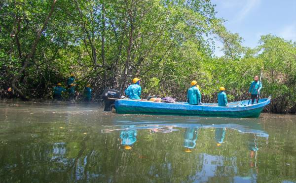 Las labores de restauración en el estero de Jaltepeque incluyen la recuperación de canales y la regeneración del manglar, como parte de la iniciativa Cuenta del Mar de Bancoagrícola, Mastercard y Fundación Doménech.