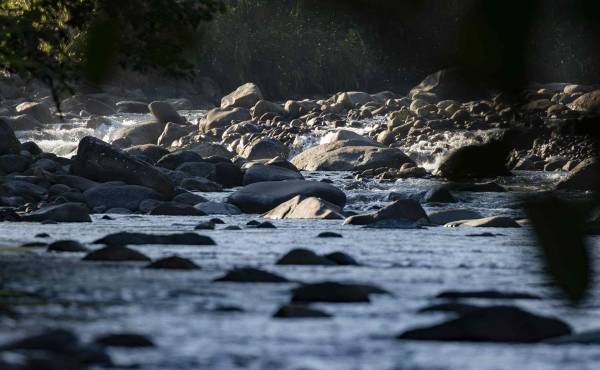 <i>Fotografía donde se muestra el cause del río Orosi, en la reserva natural de Tapanti, en la provincia de Cartago (Costa Rica). EFE/ Jeffrey Arguedas</i>