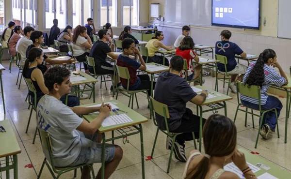 La IA obligará al sistema educativo a transformar los objetivos de aprendizaje, señala el informe de la OCDE.(Foto: EFE)