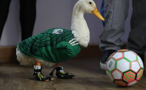El pato Merlín posa con un balón de fútbol en Ciudad de México (México). EFE/Mario Guzmán