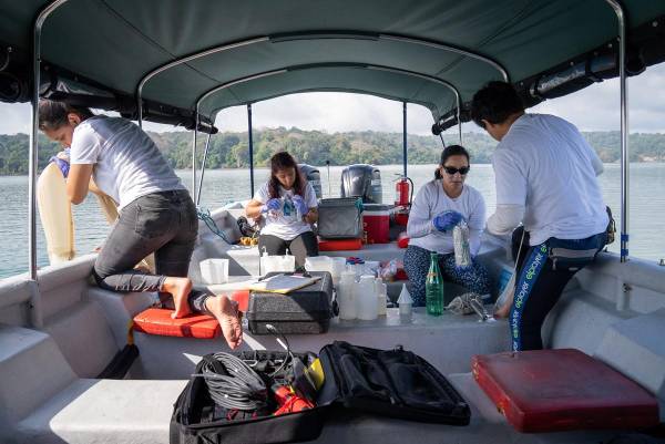 <i>Fotografía del 15 de Marzo de 2023 cedida por el instituto Smithsonian Tropical Research que muestra al equipo del proyecto recolectando y procesando muestras de plancton en el lago Gatún en el Canal de Panamá, en Ciudad de Panamá (Panamá). Científicos panameños han identificado 76 especies de fitoplancton y 39 especies de zooplancton, algunas nunca antes registradas en el Canal de Panamá, abriendo así nuevas vías para detectar cambios ambientales en sus aguas, informa el STRI, con sede en el país centroamericano. EFE/ Ana Endara/ Smithsonian Tropical Research Institute </i>