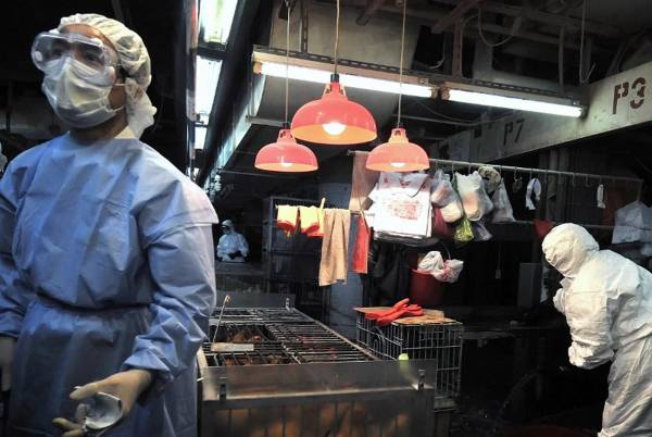 <i>Personal con ropa protectora sacrifica pollos en un mercado de Sham Shui Po después de que se encontrara el mortal virus de la gripe aviar H5N1 en muestras recolectadas en los puestos de aves del mercado en Hong Kong, el 7 de junio de 2008. FOTO AFP FOTO/Andrew RossANDRÉS ROSS / AFP</i>