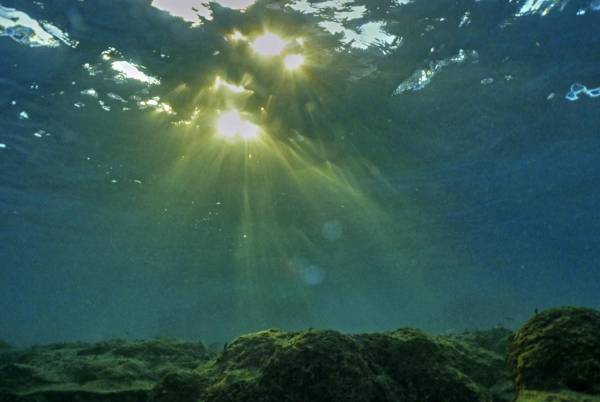 <i>(ARCHIVO) Esta fotografía submarina muestra la luz que penetra la superficie del agua en el Mar Mediterráneo frente a la costa de la ciudad de Batroun el 1 de agosto de 2023. FOTO Ibrahim CHALHOUB/AFP</i>