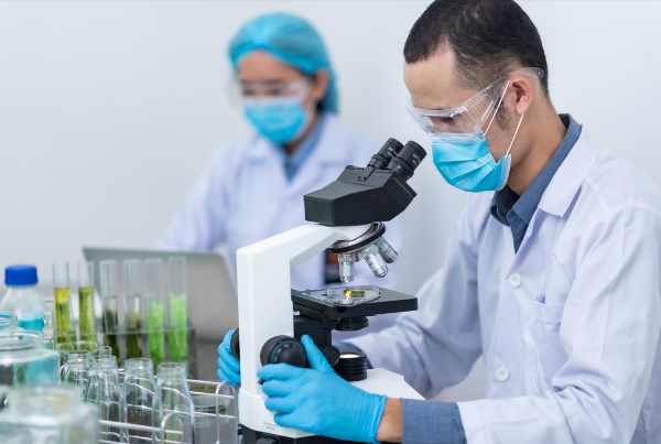 <i>Las industrias intensivas en propiedad intelectual explican solo 9 % de las exportaciones y 19 % de las importaciones regionales. Foto de iStock</i>