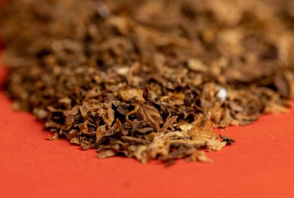 <i>FOTO SHUTTERSCTOCK</i>