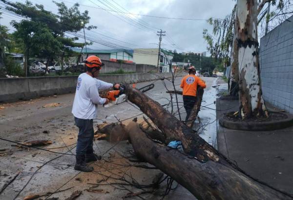 El Distrito Central de Tegucigalpa registra más de mil incidencias climáticas en octubre, entre deslizamientos, inundaciones y daños estructurales. Foto de cortesía