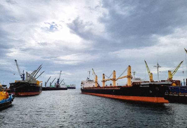 <i>Entre enero y julio, las exportaciones salvadoreñas alcanzaron US$4,036.7 millones, un aumento de 4.4 % frente a los US$3,865.9 millones registrados en el mismo período de 2025. Foto de cortesía</i>