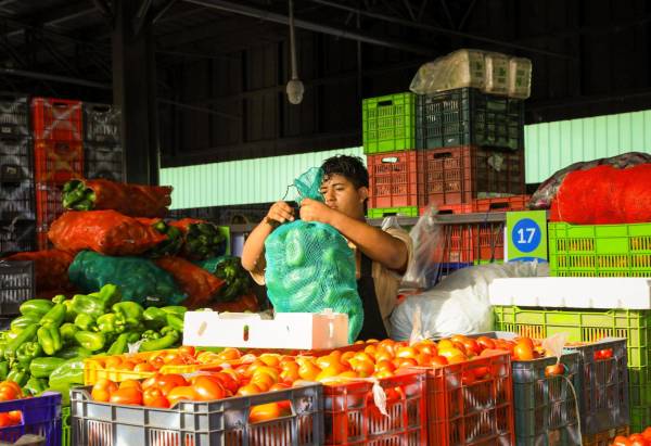 <i>Los alimentos, bebidas no alcohólicas y combustibles continúan siendo los principales factores que determinan el comportamiento de la inflación. Foto de cortesía</i>