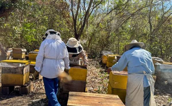 <i>FOTO paismype.com</i>