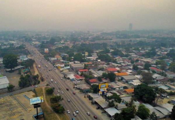Honduras bajo aviso epidemiológico por casos de influenza H5N1 en humanos