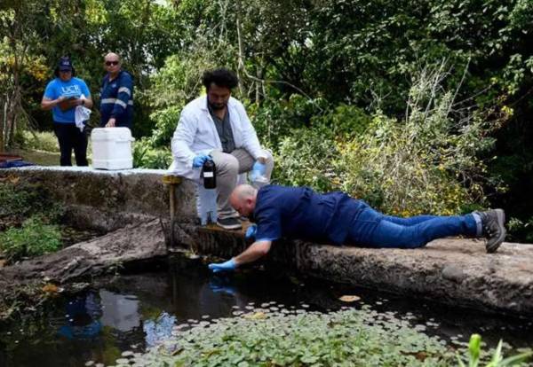<i>Momento en el que se están tomando las muestras de agua para estudiarlos en diversos laboratorios de la Universidad de Costa Rica. FOTO UCR</i>