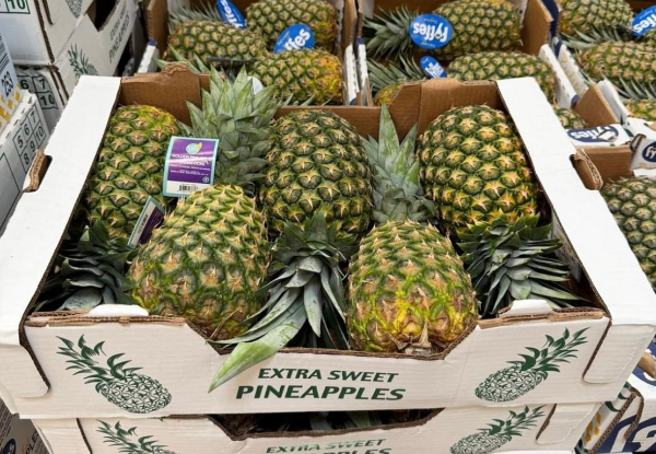 <i>Esta oportunidad para diversificar la oferta exportable de Panamá generará mayores encadenamientos productivos de los productos agrícolas. Foto de cortesía</i>