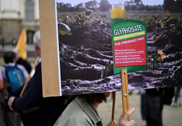 <i>Una persona sostiene una pancarta durante una reunión junto a la Maison de l'Europe en Rennes, oeste de Francia, para protestar contra la autorización de herbicidas a base de glifosato cuya extensión de diez años los estados miembros de la Unión Europea están debatiendo, el 12 de octubre de 2023. Damián MEYER / AFP</i>