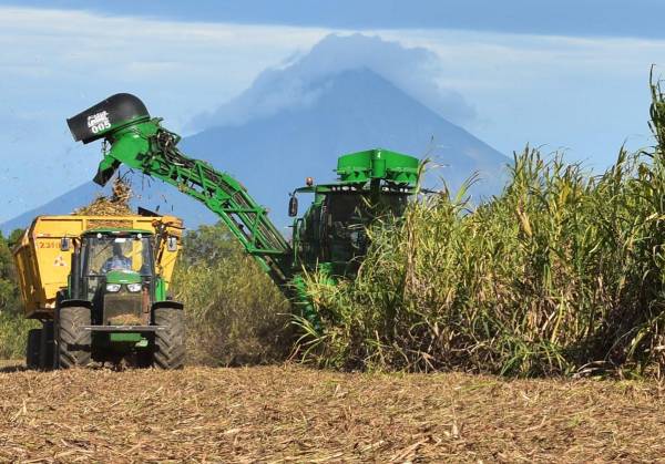 <i>Nicaragua cuenta con 95% de la cosecha mecanizada. FOTO REFERENCIA</i>